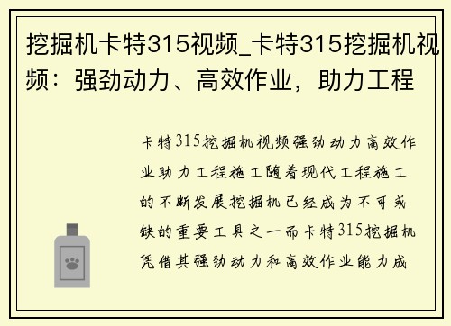 挖掘机卡特315视频_卡特315挖掘机视频:强劲动力、高效作业,助力工程施工